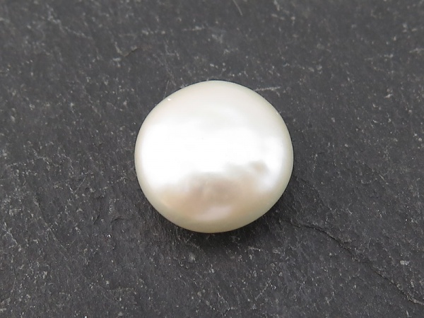 Freshwater Pearl Ivory Coin 12-13mm ~ Undrilled ~ SINGLE