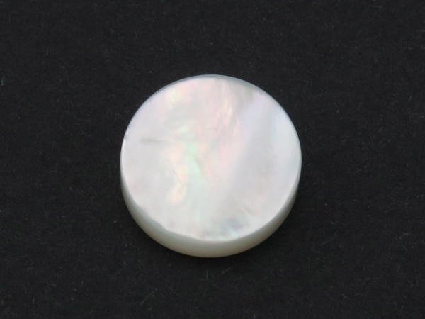 Mother of Pearl Flat Disc Bead 10mm ~ SINGLE