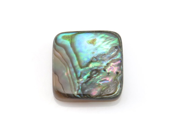 Abalone Shell Square Bead 10mm ~ SINGLE