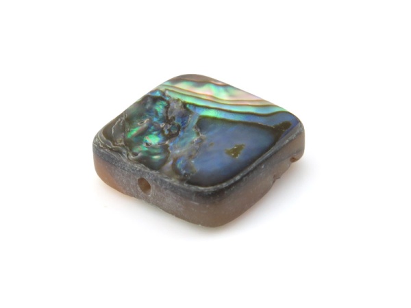 Abalone Shell Square Bead 10mm ~ SINGLE