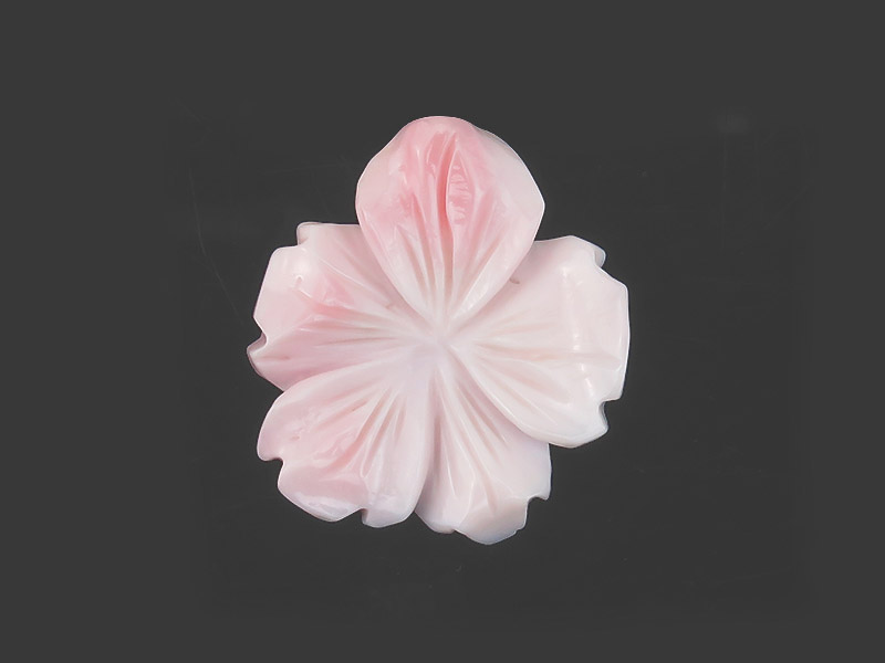 Pink Conch Shell Carved Flower ~ Various Sizes