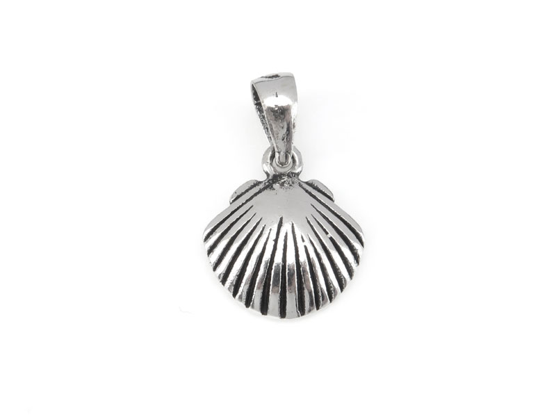 Sterling Silver Shell Pendant w/Bail 13mm